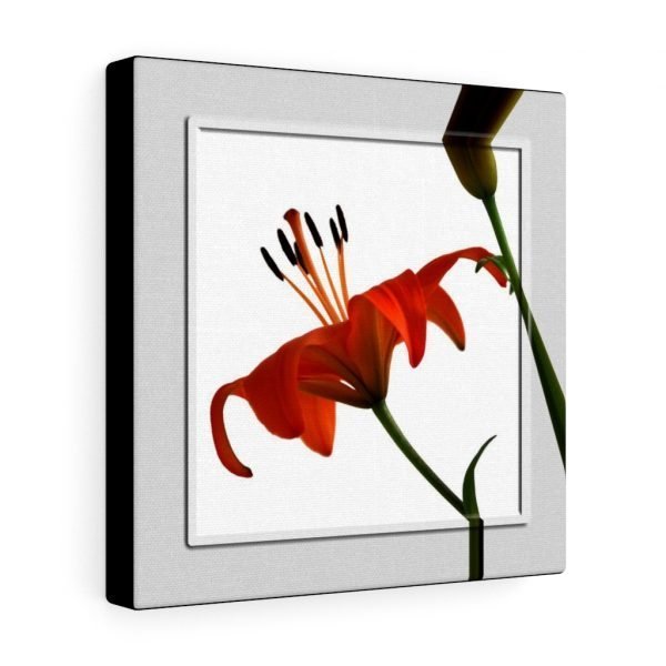 Square Canvas Wall Art ORANGE LILY