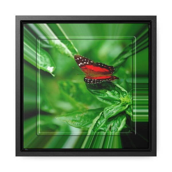 square framed wall art butterfly