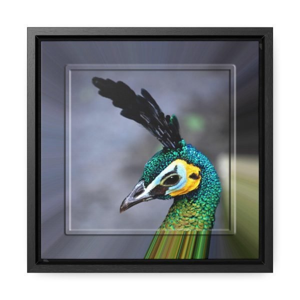 square framed wall art peacock