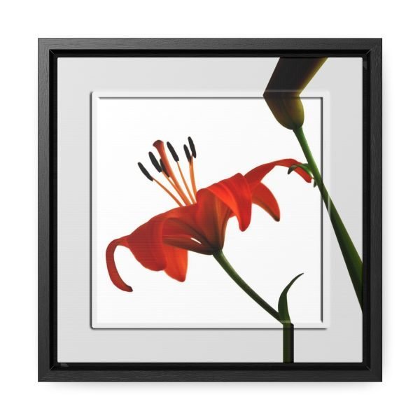 square framed wall art orange lily